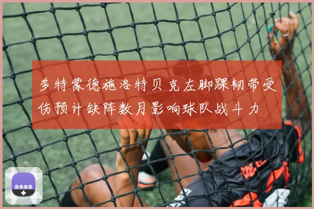多特蒙德施洛特贝克左脚踝韧带受伤预计缺阵数月影响球队战斗力