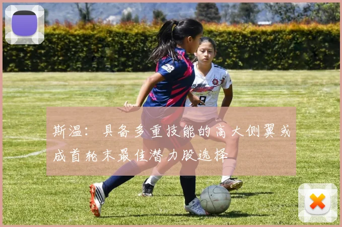 斯温：具备多重技能的高大侧翼或成首轮末最佳潜力股选择